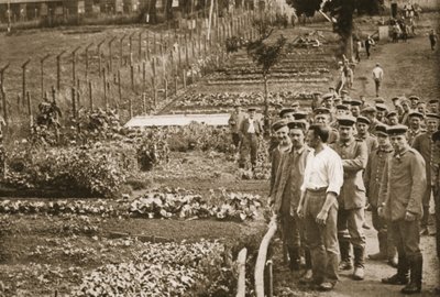 The Vegetable Garden, Eastcote, illustration from German Prisoners in Great Britain by English Photographer